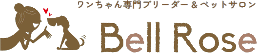 Bell Rose（子犬販売、ブリーダー、トリミング、ペットホテル）延岡、日向、宮崎